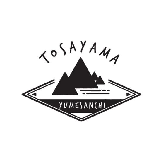 土佐山生ジンジャーエール辛口 瓶 Mサイズ 0ml を通販で販売 辛口ジンジャエールシリーズ 土佐山生ジンジャーエール辛口 瓶 Mサイズ 0ml を通販で販売 辛口ジンジャエールシリーズ