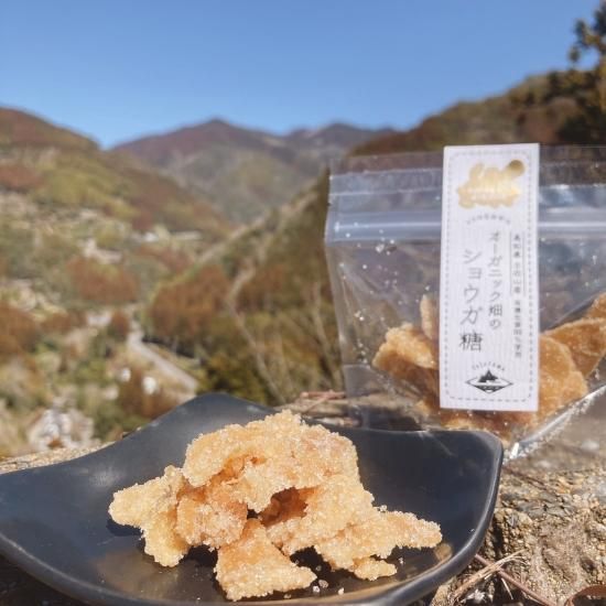 オーガニック畑のショウガ糖 TOSAYAMA YUMESANCHI [ 土佐山産