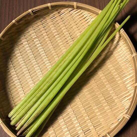 季節限定 産地直送 日本産 天然 山菜水ふき 高知県土佐山産 を通販で販売 春の味覚を感じる水フキをお楽しみ下さい 季節限定 産地直送 日本産 天然 山菜水ふき 高知県土佐山産 を通販で販売 春の味覚を感じる水フキをお楽しみ下さい