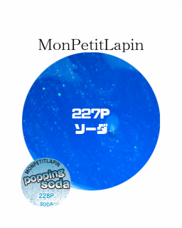228P