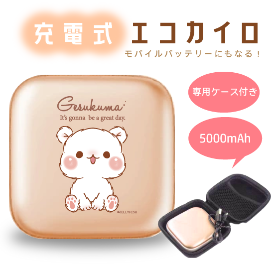 5000mAh充電式エコカイロ