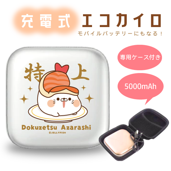 5000mAh充電式エコカイ