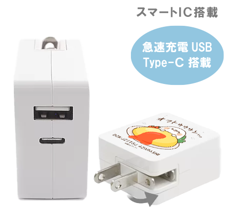 急速充電USB &Type-C