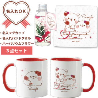 【名入れマグカップ&名入れハンドタオル&フラワー・ハーバリウム3点セット】毒舌あざらし