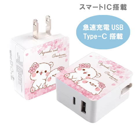 急速充電USB &Type-C