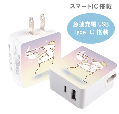 急速充電USB &Type-C