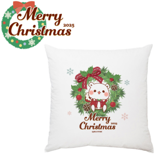 2025Xmasꡦå(3030cm)إޡ