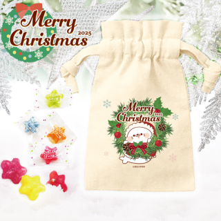 2025Xmasꡦǥꥳåȥݡ夢餷