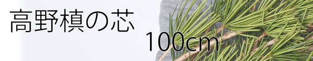 高野槇100�
