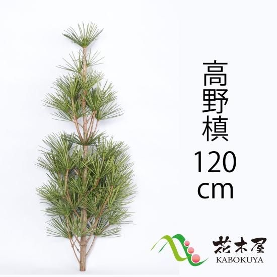 超貴重　特注品　木製ステッキ　日本の美　高野槙　枇杷　赤松ジン　父の日 超貴重特注品木製ステッキ日本の美高野槙枇杷赤松ジン父の日