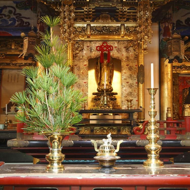 高野槙 芯 切枝 120cm 1本 生花 切花 本堂向け 大きなお墓向け K-7