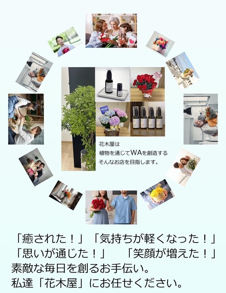 アセビ 馬酔木 切花 生花 | 80cm 10本グリーン - 高野槇と季節の アセビ 馬酔木 切花 生花 | 80cm 10本グリーン - 高野槇と季節の