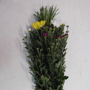高野槙の仏花 60cm程度 1束 生花