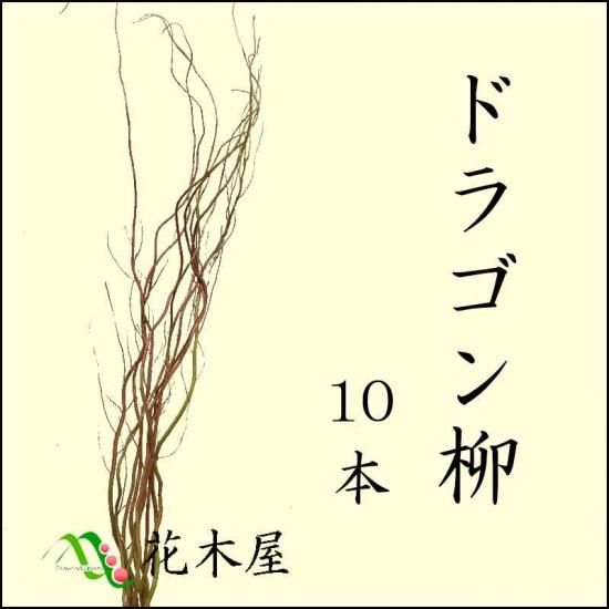 ドラゴン柳 10本 120cm程度 生花 生け花 花材 雲竜 稽古 装飾
