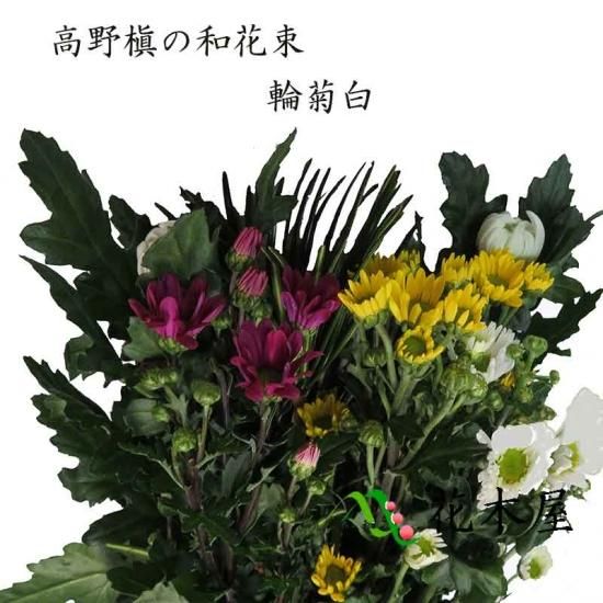 花農家直送！！クルクマ20本❀ガーベラ60本❀菊❀ （期間限定