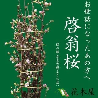 2025ǯ1223ʹߤΤϤ۷ ⤵ 1.15 1 