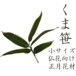 2025ǯ1210-2025ǯ1230ˤϤͽʡۥޥ   1 