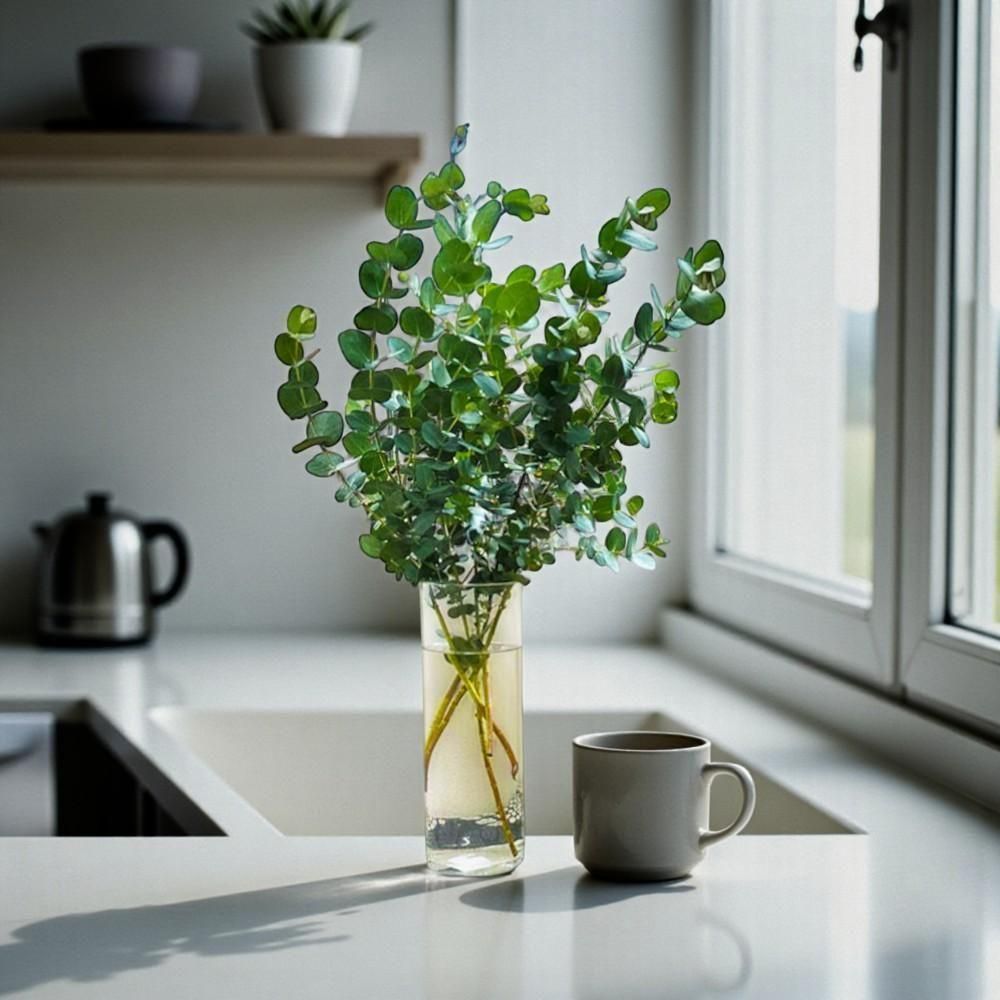 ˡ桼 ʪ ڻ 115cm 100cm 70cm 1 5 10