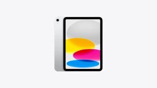 A Apple iPad 10.2 (10)2022ǯ WiFiǥ 256GB ֥롼/С/
