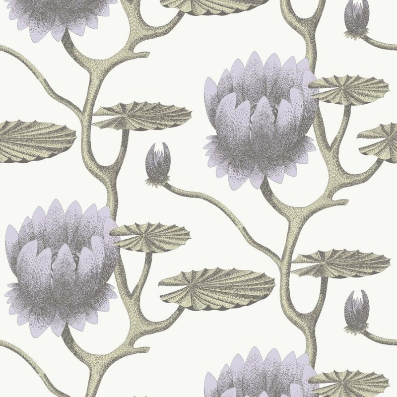 Summer Lily / 95/4023 / Contemporary Restyled / Cole&Son