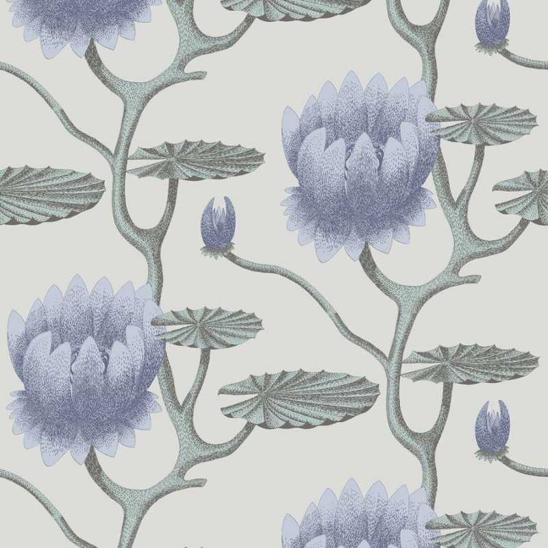 Summer Lily / 95/4024 / Contemporary Restyled / Cole&Son