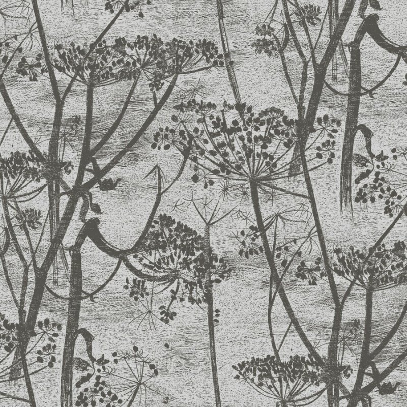 Cow Parsley / 95/9050 / Contemporary Restyled / Cole&Son
