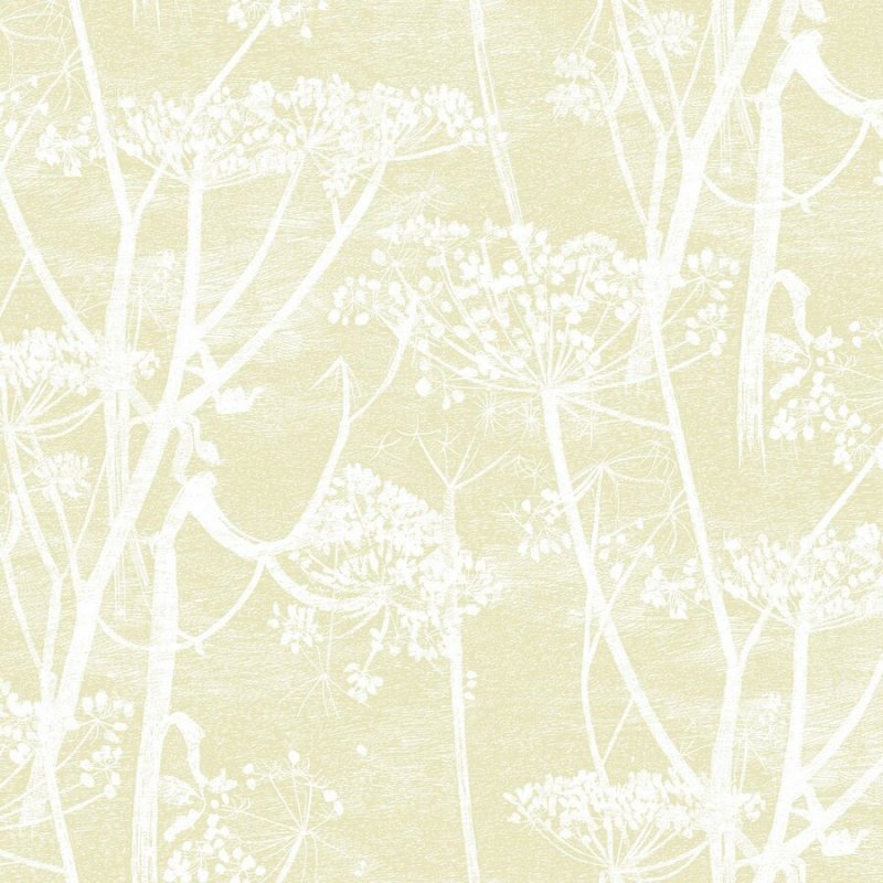 Cow Parsley / 95/9053 / Contemporary Restyled / Cole&Son