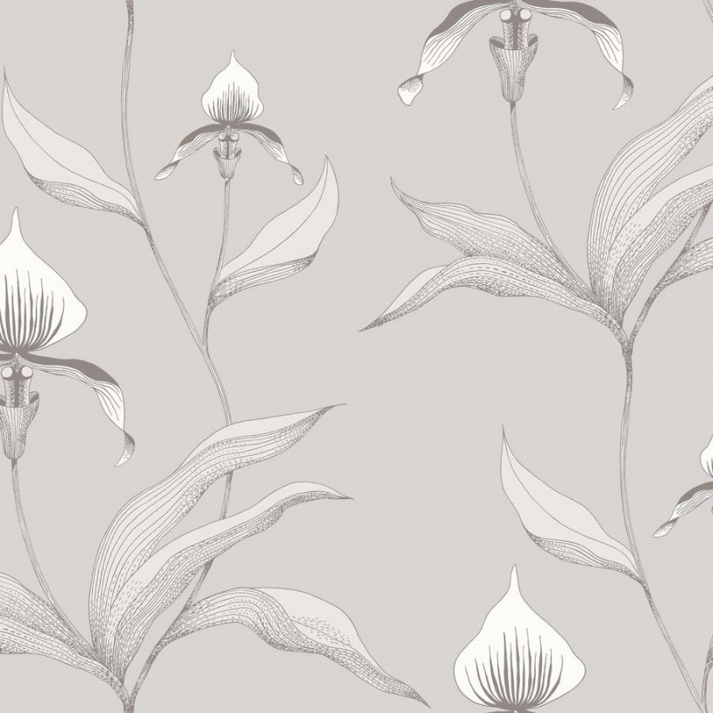 Orchid / 95/10055 / Contemporary Restyled / Cole&Son