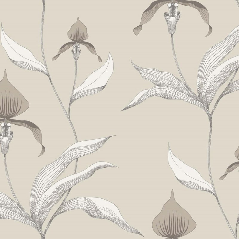 Orchid / 95/10058 / Contemporary Restyled / Cole&Son