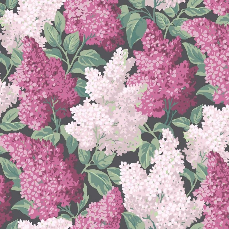 Lilac / 115/1001 / Botanical Botanica / Cole&Son - 輸入壁紙クロスならWonderwall  ワンダーウォール | 北欧中心に厳選の輸入壁紙クロスを静岡から