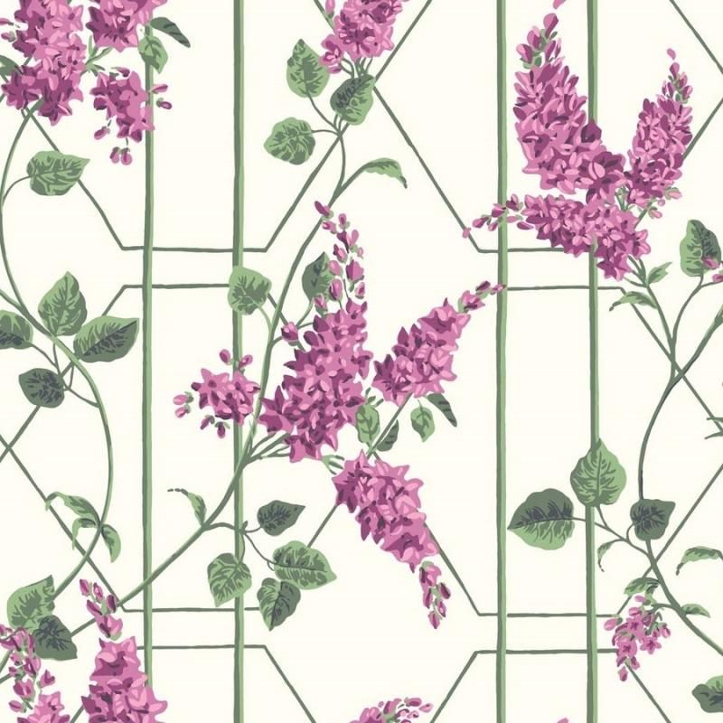 Wisteria / 115/5013 / Botanical Botanica / Cole&Son