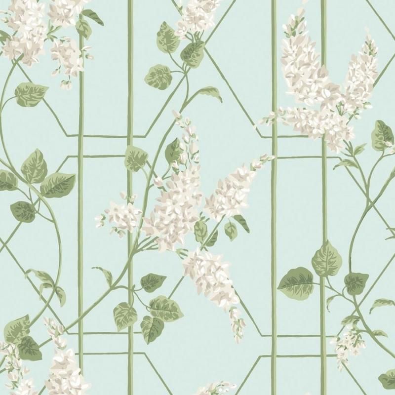 Wisteria / 115/5014 / Botanical Botanica / Cole&Son