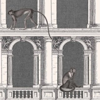 Procuratie e Scimmie / 114/21041 / Fornasetti Senza Tempo / Cole&Son