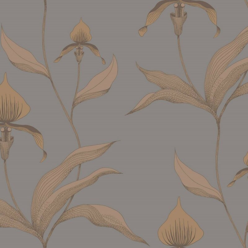 Orchid / 95/10056 / The Contemporary Collection / Cole&Son