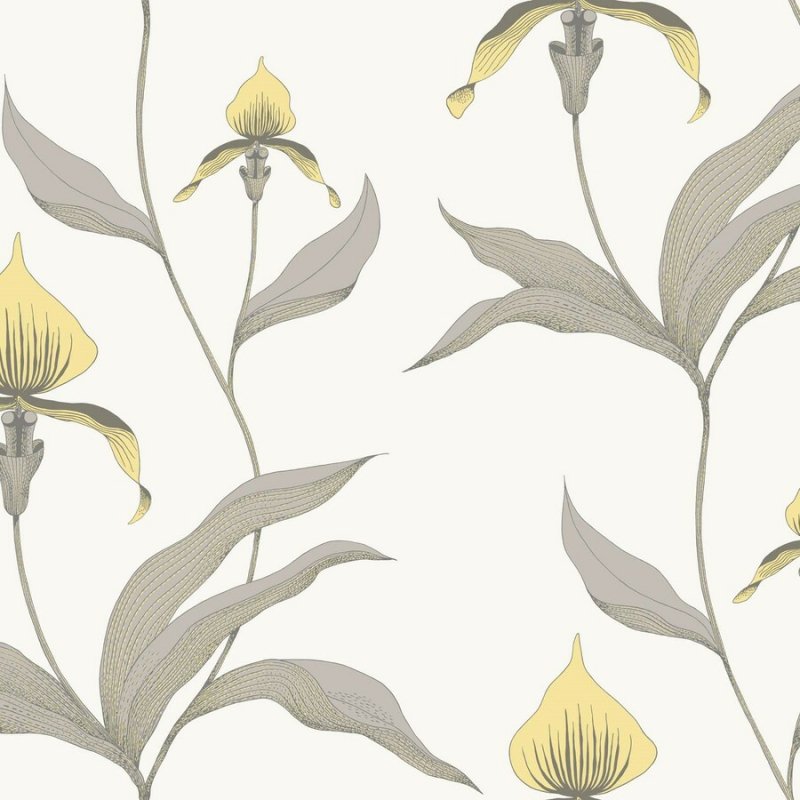Orchid / 95/10057 / The Contemporary Collection / Cole&Son