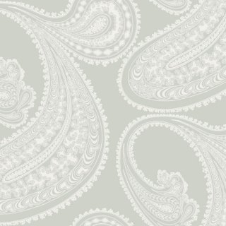 Rajapur / 66/5036 / The Contemporary Collection / Cole&Son