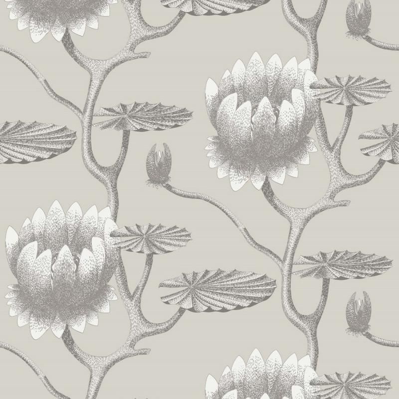 Summer Lily / 95/4025 / The Contemporary Collection / Cole&Son