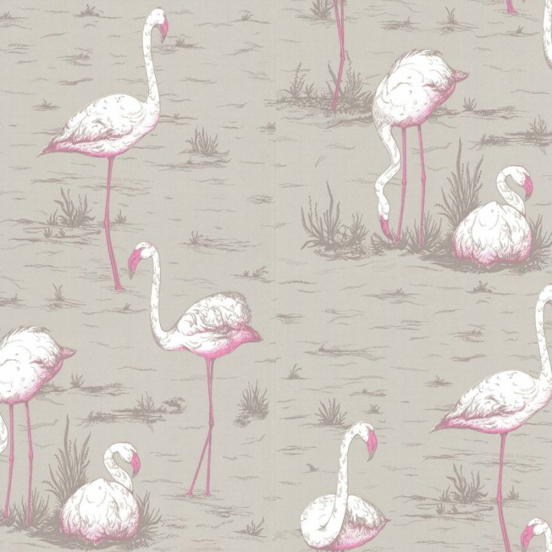 Flamingos / 66/6042 / The Contemporary Collection / Cole&Son