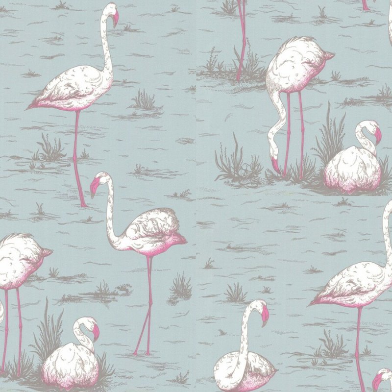 Flamingos / 66/6044 / The Contemporary Collection / Cole&Son