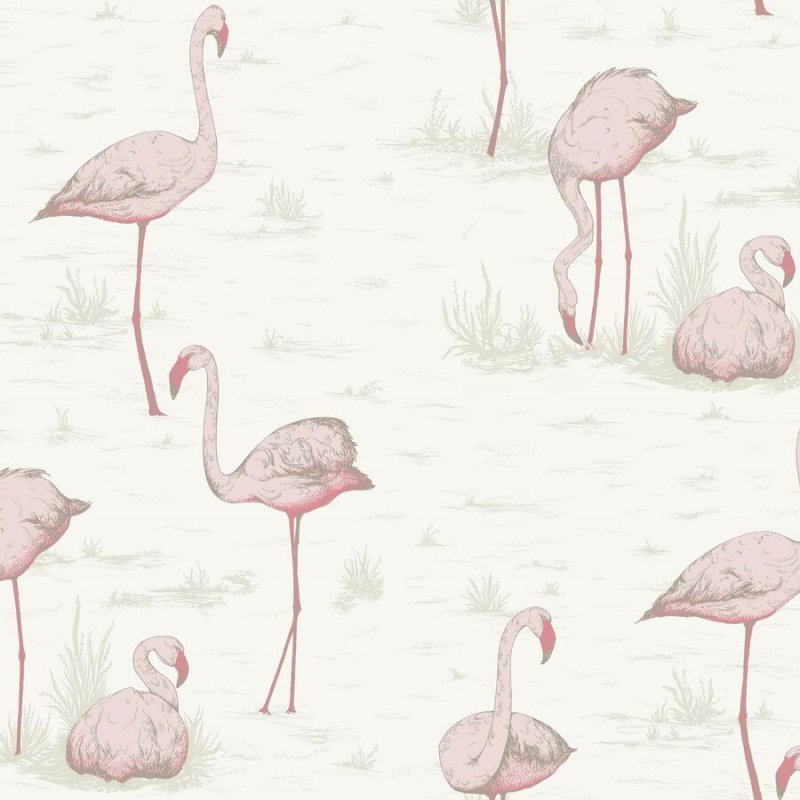 Flamingos / 95/8045 / The Contemporary Collection / Cole&Son
