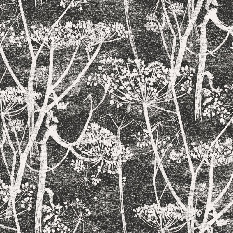 Cow Parsley / 66/7046 / The Contemporary Collection / Cole&Son
