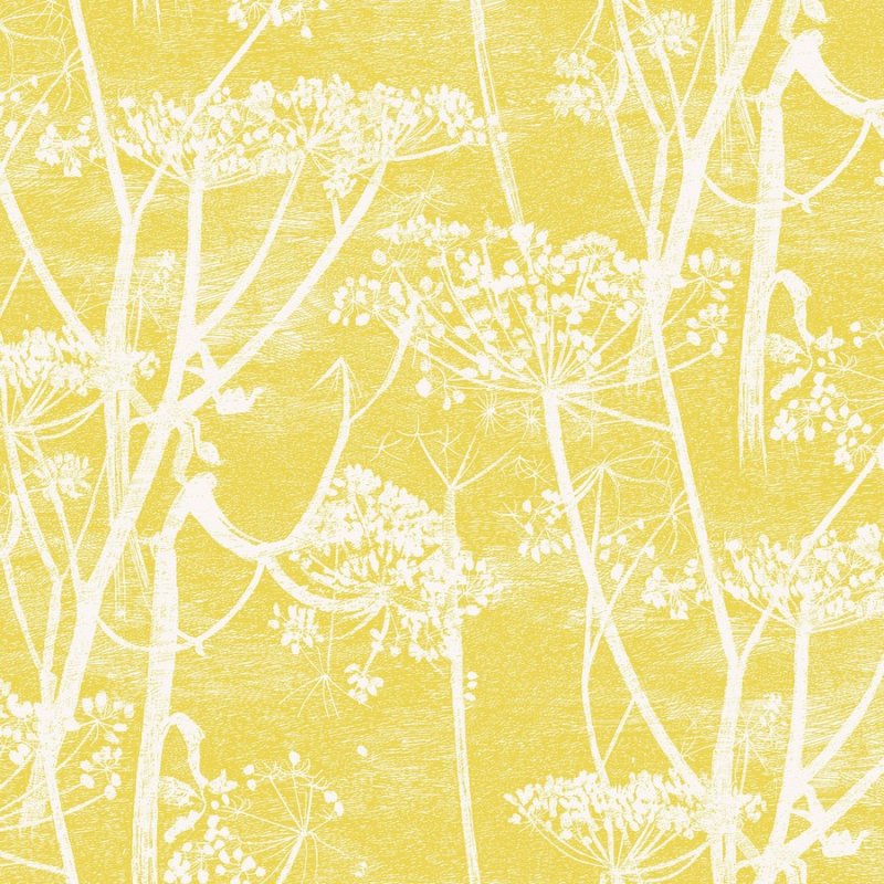 Cow Parsley / 66/7051 / The Contemporary Collection / Cole&Son