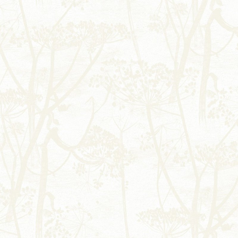 Cow Parsley / 95/9052 / The Contemporary Collection / Cole&Son