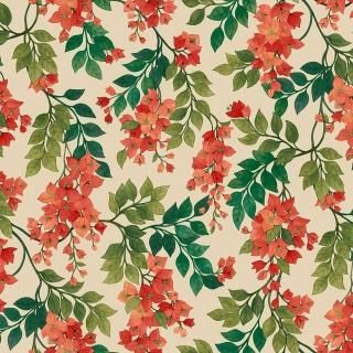 Bougainvillea / 117/6016 / Seville / Cole&Son