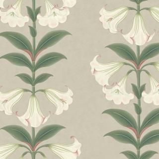 Angel's Trumpet / 117/3007 / Seville / Cole&Son