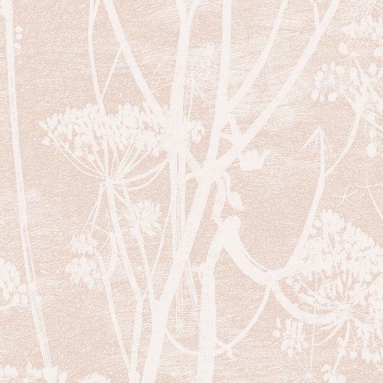 Cow Parsley 1 / 112/8028 / Icons / Cole&Son