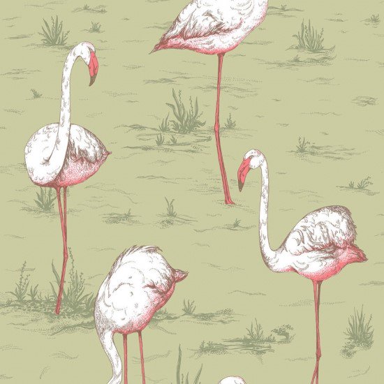 Flamingos / 112/11038 / Icons / Cole&Son