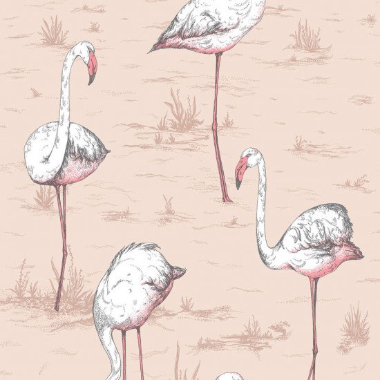 Flamingos / 112/11039 / Icons / Cole&Son