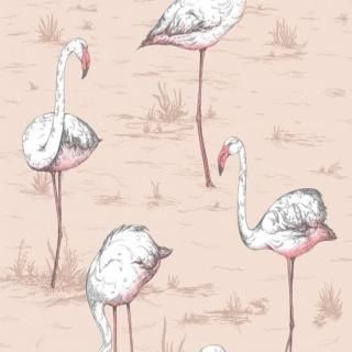 Flamingos / 112/11039 / Icons / Cole&Son