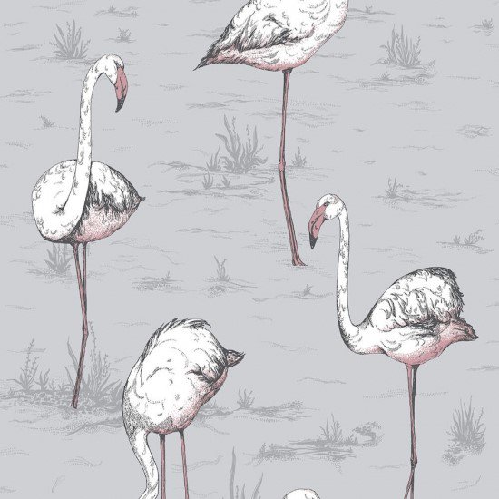 Flamingos / 112/11040 / Icons / Cole&Son